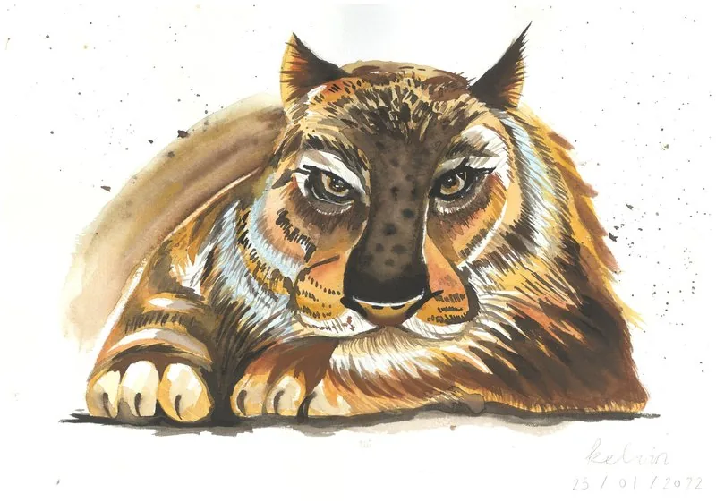 A festive tiger painted for the 2022 Year of the Tiger uses splashing techniques to create a vivid, colourful image.