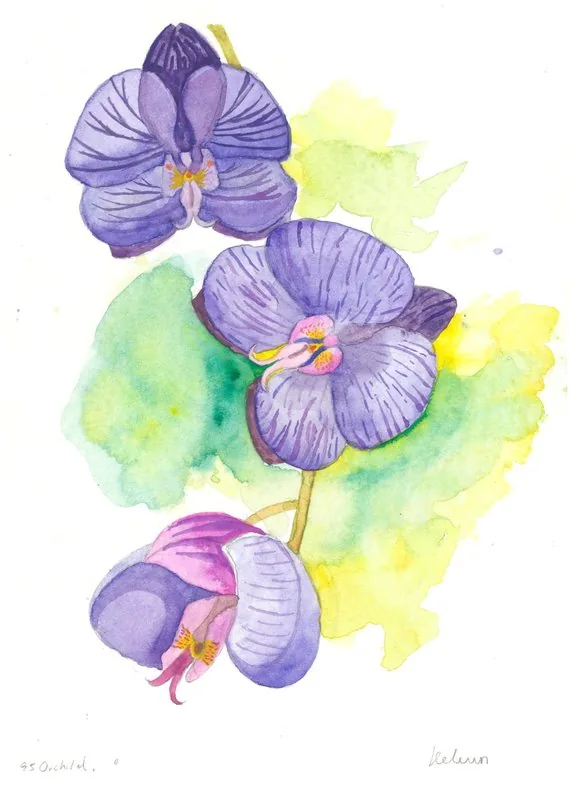 Orchids, his parents’ favourite flowers, represent the bonds between Kelvin, his two older brothers, and their family.